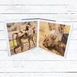 Portfolio Printing