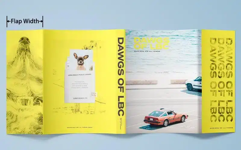 Dust Jacket