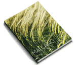 Softcover Books