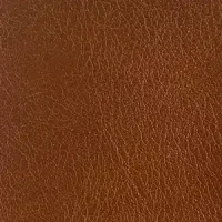 T301-10-saddle-brown
