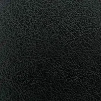 T301-13-black