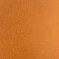 T302-8 orange